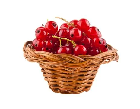 Red currant Stock Photos