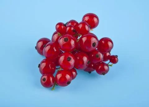 Red currant Stock Photos