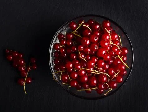 Red currant Stock Photos