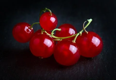 Red currant Stock Photos