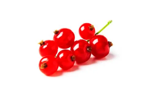 Red currant Stock Photos