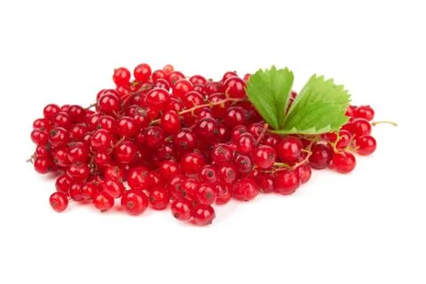 Red currant Stock Photos