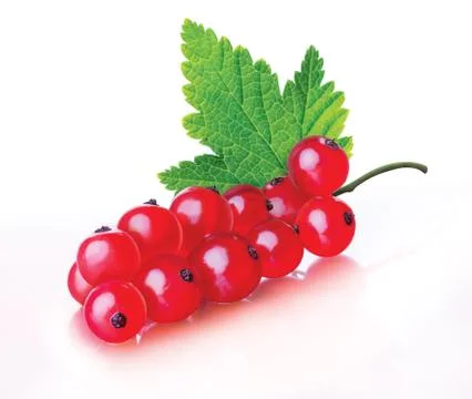 Red currant Stock Photos