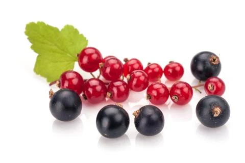Red currant Foto stock