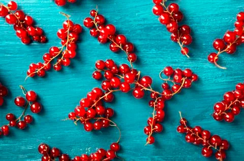 Red Currant Stock Photos