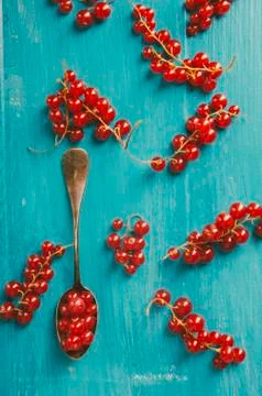 Red Currant Fotos Stock