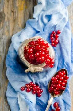Red Currant Stock Photos