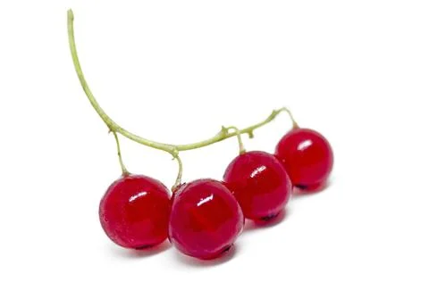 Red currant Stock Photos
