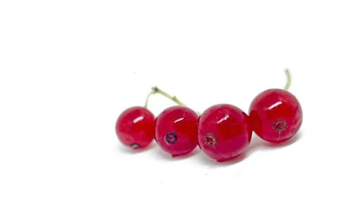 Red currant Stock Photos