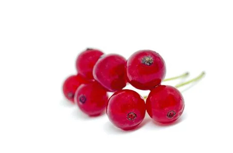 Red currant Stock Photos