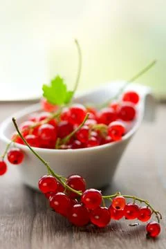 Red currant Stock Photos