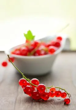 Red currant Stock Photos