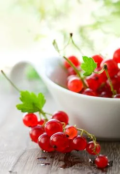 Red currant Stock Photos