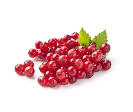 Red currant Stock Photos
