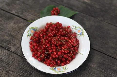 Red currant on a plate Stock Photos