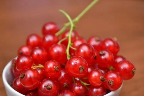 Red currant in the plate on the table. Stock Photos