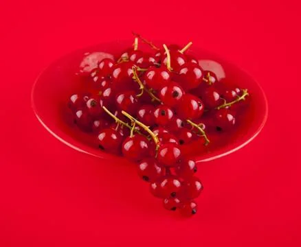 Red currant on a red background Stock Photos