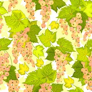 Red currant seamless pattern. Collection of berries. Vector Illustrazione stock