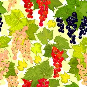 Red currant seamless pattern. Collection of berries. Vector Stock Illustration