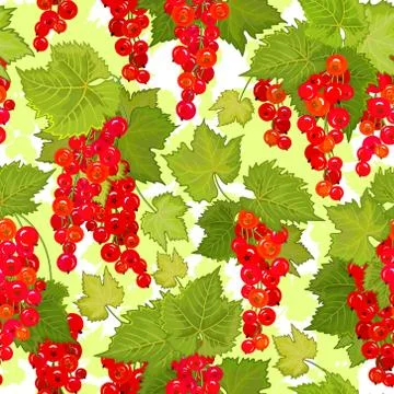 Red currant seamless pattern. Collection of berries. Vector Illustrazione stock