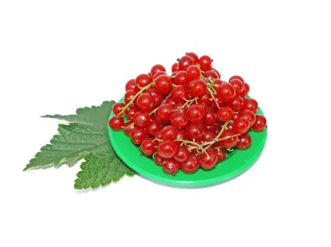 Red currant on small plates decorated with leaves isolated Stock Photos