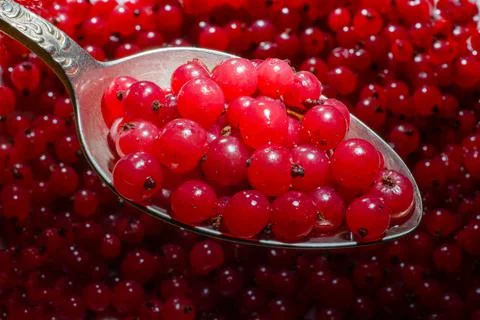 Red currant in a spoon. No. 2. Stock Photos