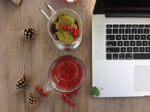 Red currant tea in cup and teapot near the laptop at the wood table workplace Stock Photos