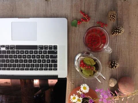 Red currant tea in cup and teapot near the laptop at the wood table workplace Stock Photos