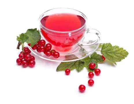 Red currant tea Stock Photos