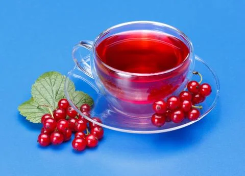 Red currant tea Stock Photos