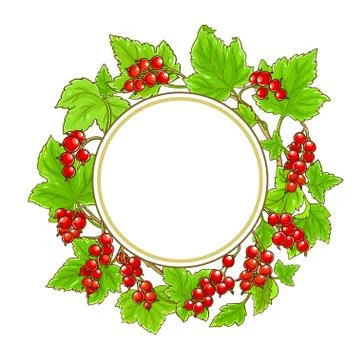 Red currant vector frame Stock Illustration