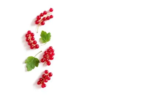 Red currant on a white background Stock Photos
