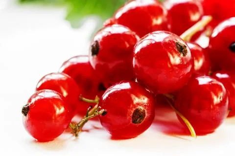 Red currant, white background, selective focus Stock Photos