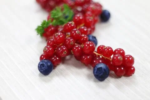 Red currant on white background, studio shot Stock-Fotos