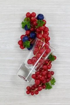 Red currant on white background, studio shot Stock Photos