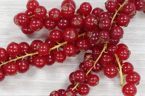 Red currant on white background, studio shot Stock Photos