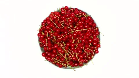 Red currant on a white background. Top view. Loop motion. Stock Footage 160246188