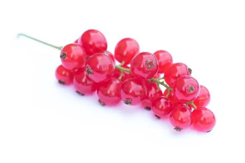Red currant on white Stock Photos