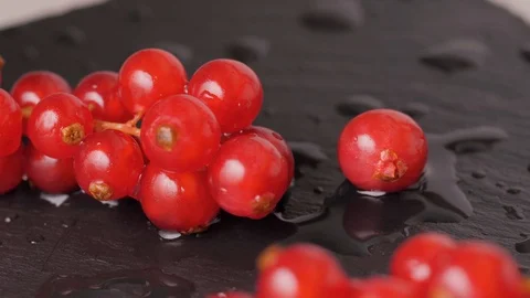 Red currants berry in studio macro close up shot, fresh garden berries Stock Footage 120870168