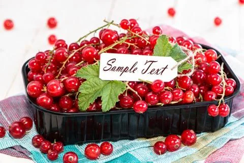 Red currants with empty sign Stock Photos