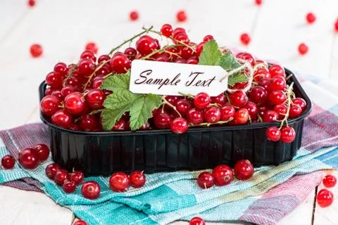 Red currants with empty sign Stock Photos