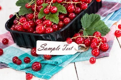 Red currants with empty sign Stock Photos