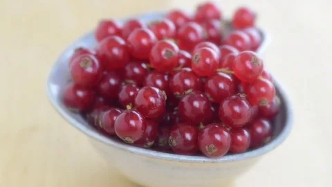Red currants Stock Footage 79877287