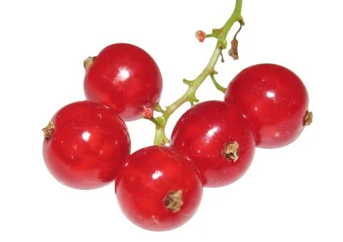 Red currants isolated on white background Foto stock