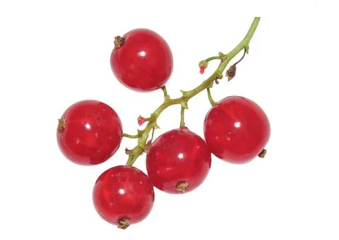 Red currants isolated on white background Stockfoto's