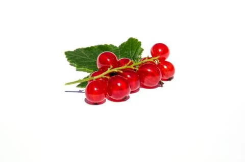 Red currants Stock Photos