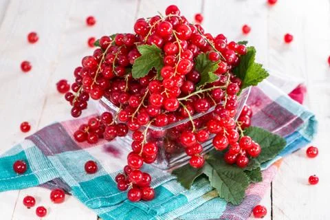 Red currants Stock Photos