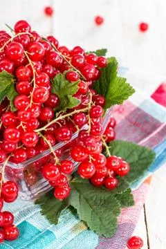 Red currants Stock Photos