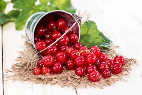 Red currants Stock Photos