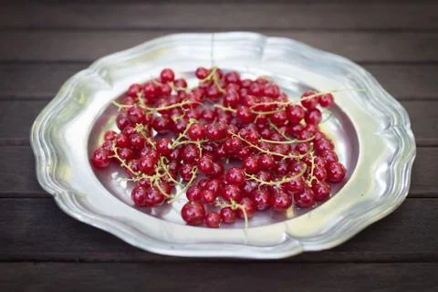 Red currants Stock Photos
